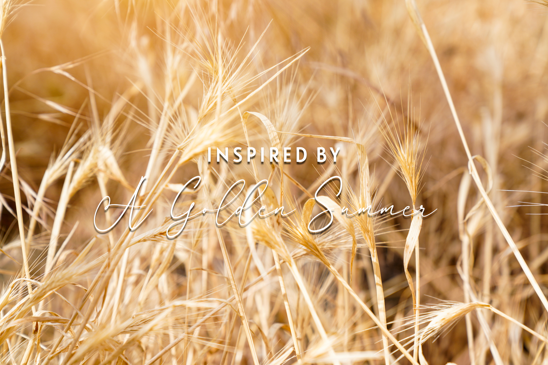 AU NATUREL BTS MEMO ED.2